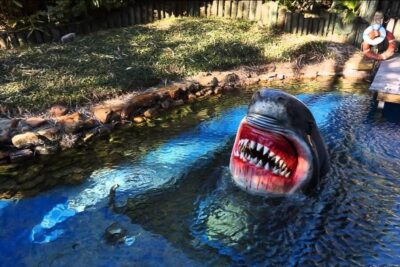 Houston Tour and Aquarium Ticket - How the guide turns Houston into something you can remember
