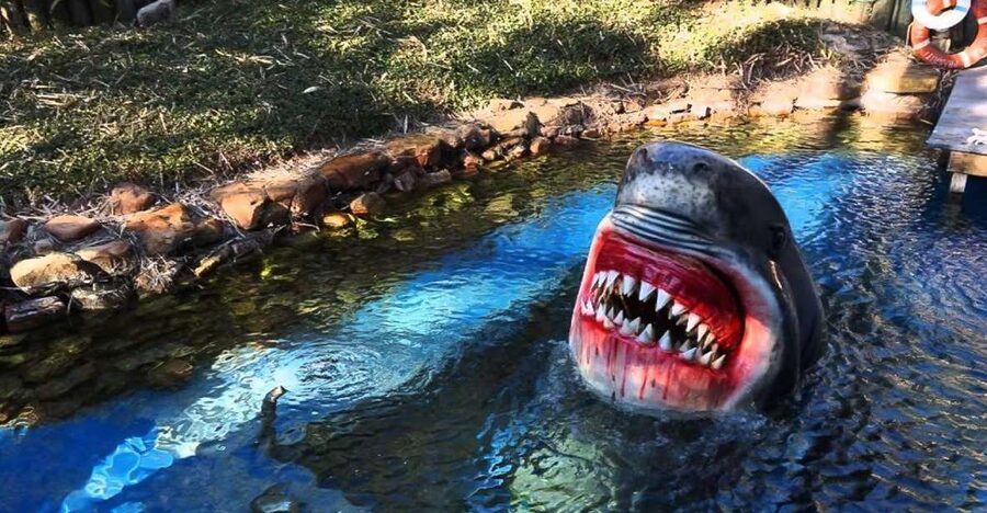 Houston Tour and Aquarium Ticket - Who should book this, and who might want a different plan