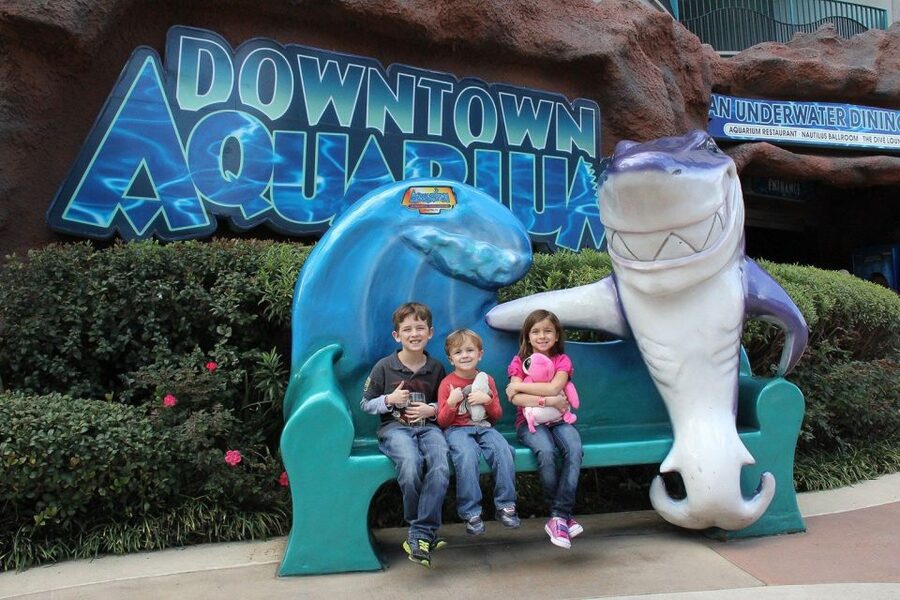 Houston Tour and Aquarium Ticket - Should you book Houston Tour and Aquarium Ticket? My honest verdict