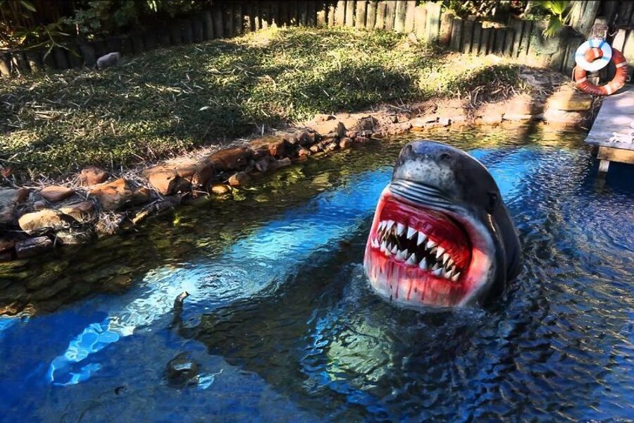 Houston Tour and Aquarium Ticket - How the guide turns Houston into something you can remember