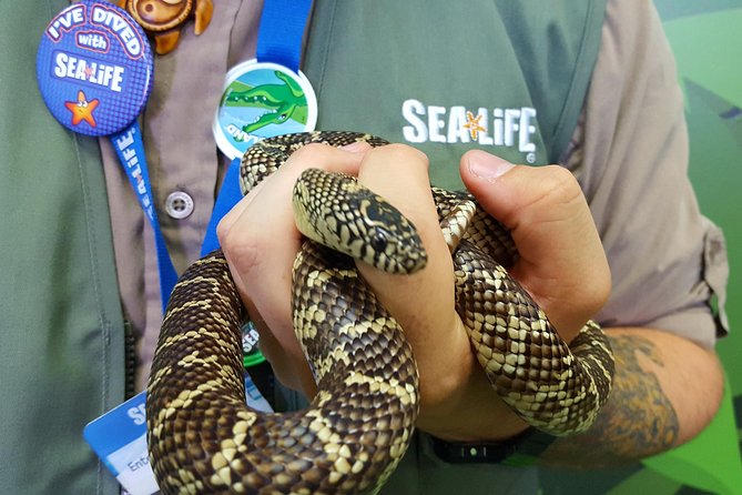 Hunstanton SEA LIFE Sanctuary General Admission Ticket - Seal Rescue Centre: Norfolk’s Only Visitor-Open Seal Sanctuary