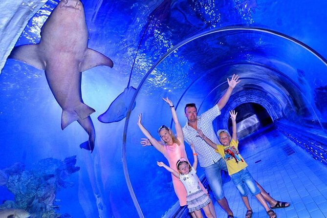 Hurghada Grand Aquarium Tour with Hotel Transfer – Hurghada - Hotel pickup and drop-off in Hurghada: what “easy” really means
