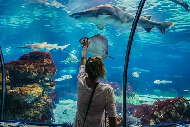 Hurghada Grand Aquarium Tour with Hotel Transfer – Hurghada - Stairs, baby needs, and accessibility reality