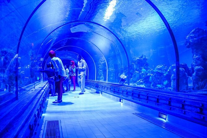 Hurghada Grand Aquarium Tour with Hotel Transfer – Hurghada - Timing and group size: what the flow feels like