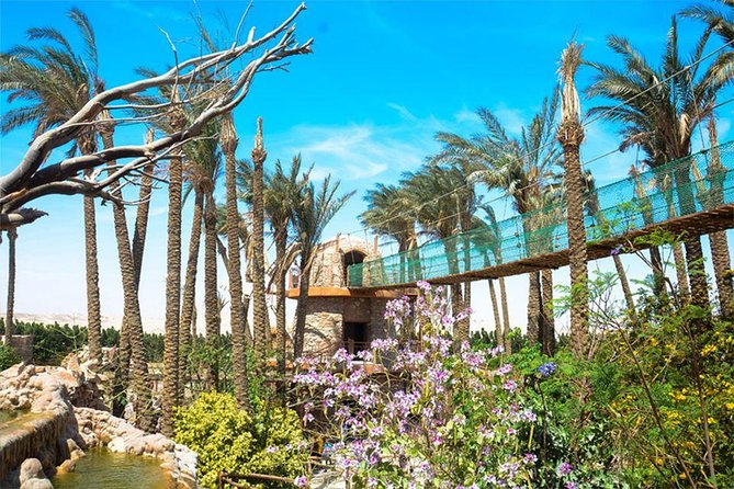 Hurghada Grand Aquarium Tour with Hotel Transfer – Hurghada - Inside the Grand Aquarium: tunnel viewing, sharks, rays, and the “wow” factor