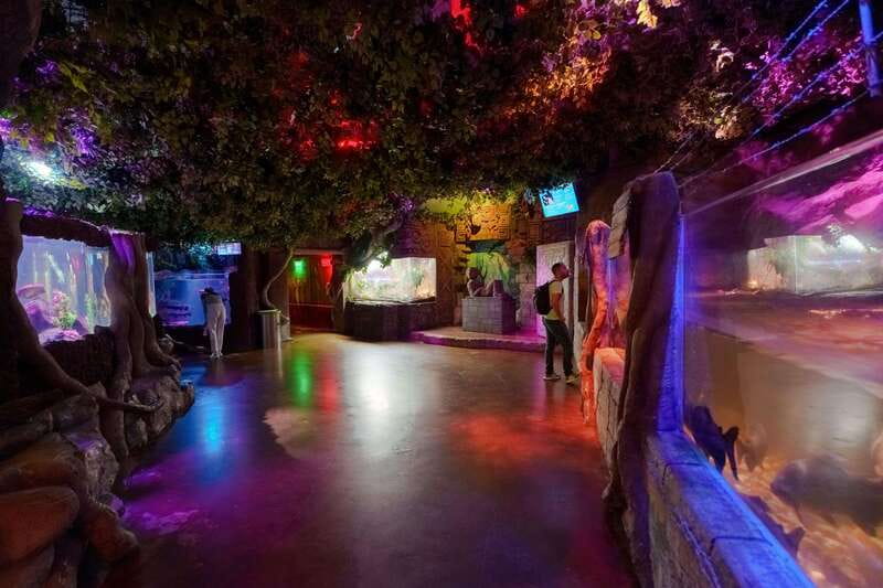 Inbursa Aquarium Entry Ticket with VR Option - Key highlights to know before you go