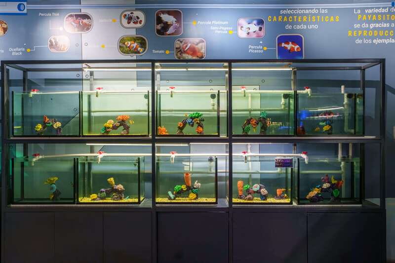Inbursa Aquarium Entry Ticket with VR Option - Tickets, timing, and how to avoid a schedule headache