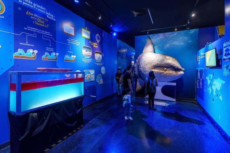 Inbursa Aquarium Entry Ticket with VR Option - Acuario Inbursa Priority Entry: why it matters