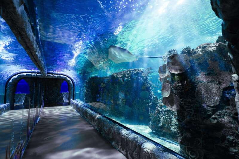 Inbursa Aquarium Entry Ticket with VR Option - The habitats: the part you’ll remember