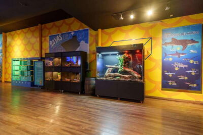 Inbursa Aquarium Entry Ticket with VR Option - What a 1-day ticket really gets you (and how to plan)