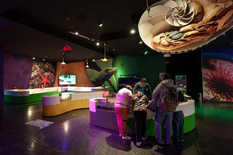 Inbursa Aquarium Entry Ticket with VR Option - Interactive Aquarium: where the learning feels like play