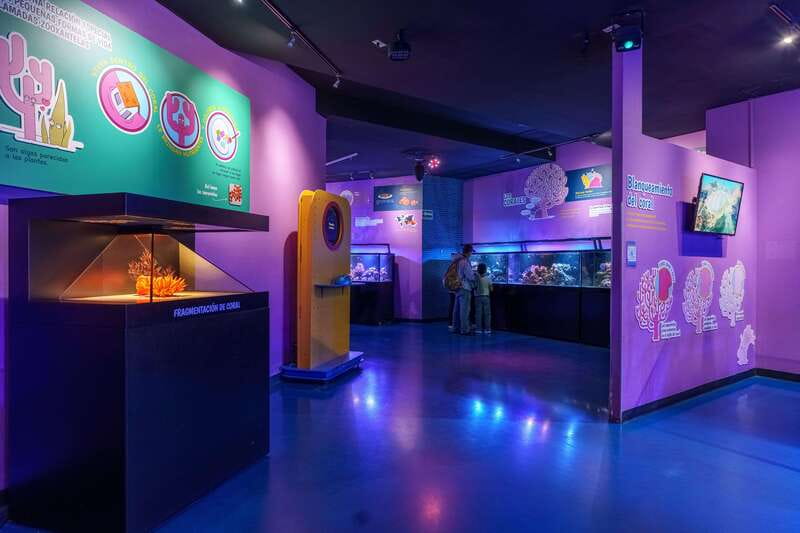 Inbursa Aquarium Entry Ticket with VR Option - Temporary exhibitions: extra variety without extra planning
