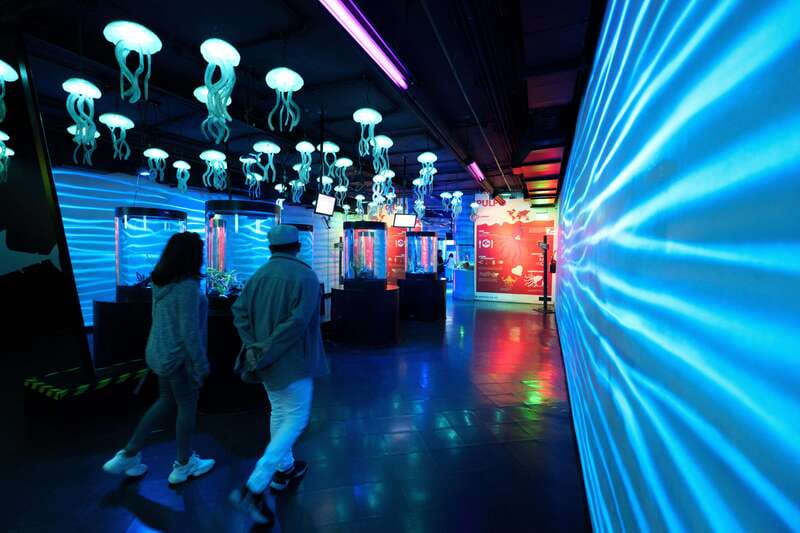 Inbursa Aquarium Entry Ticket with VR Option - Adding the VR experience: fun, but watch the details