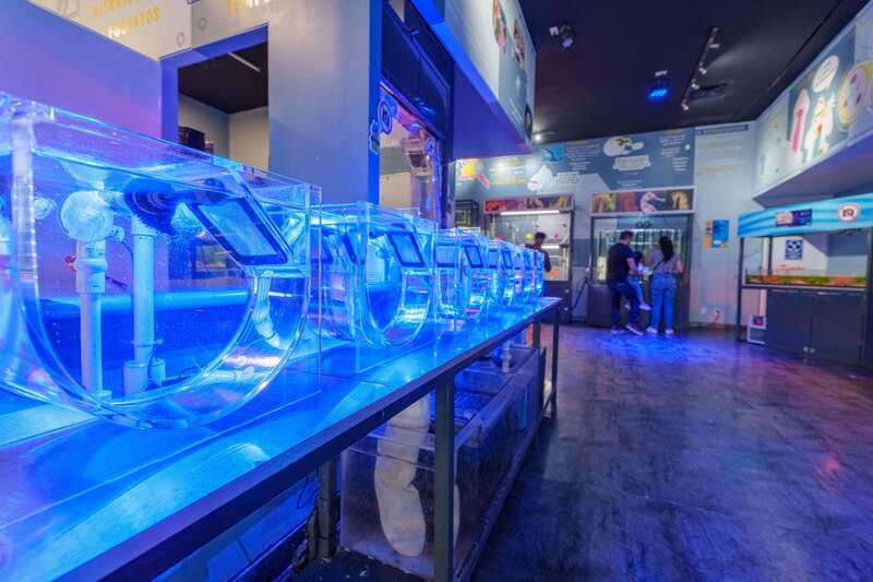 Inbursa Aquarium Entry Ticket with VR Option - Pricing and value: what you’re paying for at $20