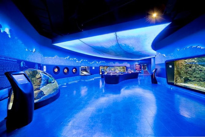Istanbul Aquarium and Aqua Florya Independent Shopping Trip - Key highlights worth your attention