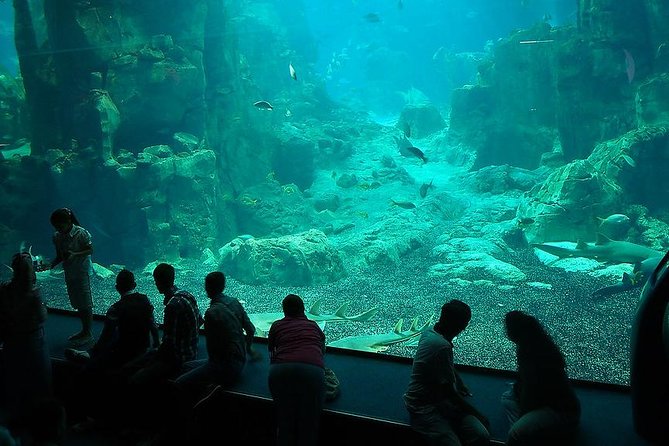 Istanbul Aquarium and Aqua Florya Independent Shopping Trip - Istanbul Aquarium: 16 aquatic zones and the overhead tunnel factor