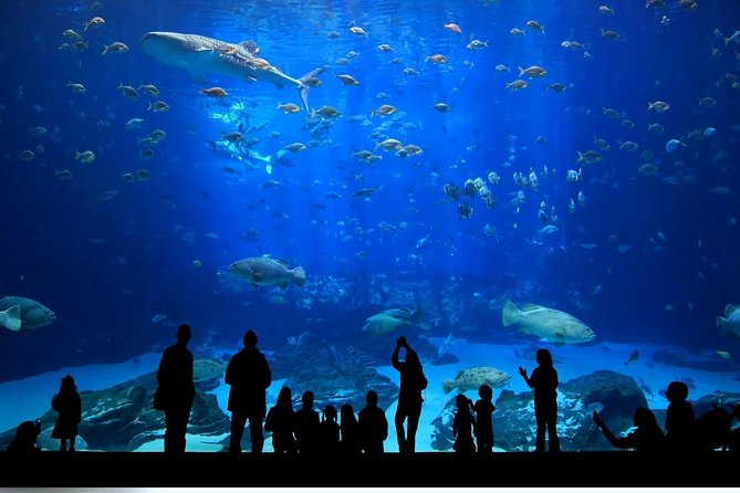Istanbul Aquarium and Aqua Florya Independent Shopping Trip - Small practical tips to make the day smoother