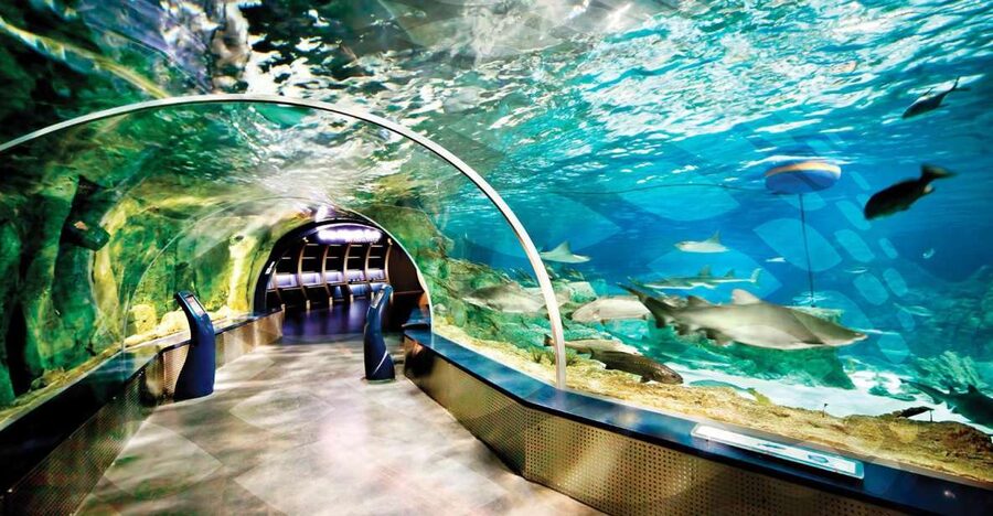 Istanbul Aquarium and Aqua Florya Shopping Mall Tour - Key Things That Make This Tour Worth Your Time