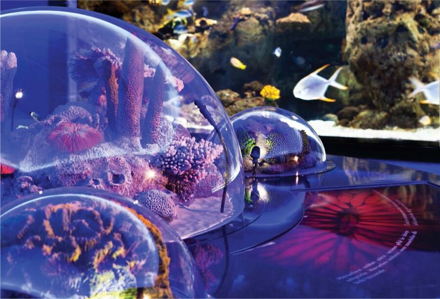 Istanbul Aquarium and Aqua Florya Shopping Mall Tour - Who Should Book This Tour (and Who Might Not Love It)