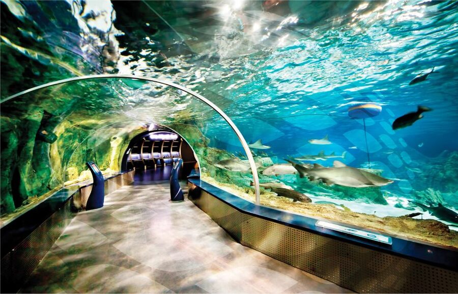 Istanbul Aquarium and Aqua Florya Shopping Mall Tour - Getting There: European-Side Pickup and the Aqua Florya Start