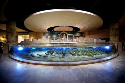 Istanbul Aquarium and Aqua Florya Shopping Mall Tour - The Main Event: A 16-Theme Underwater Route