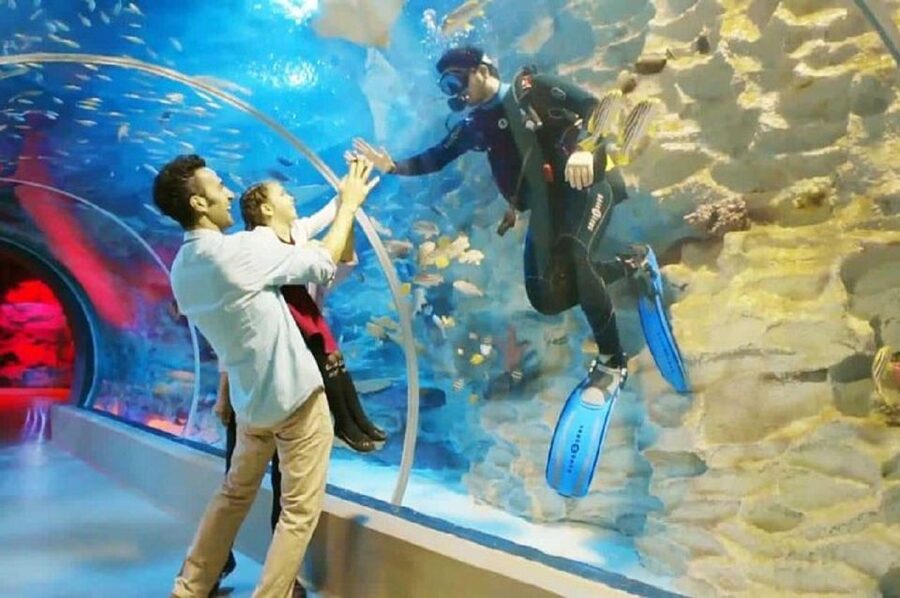 Istanbul Aquarium and Aqua Florya Shopping Mall Tour - Mirror Labyrinth and Rainforest Quest: Pick Your Pace
