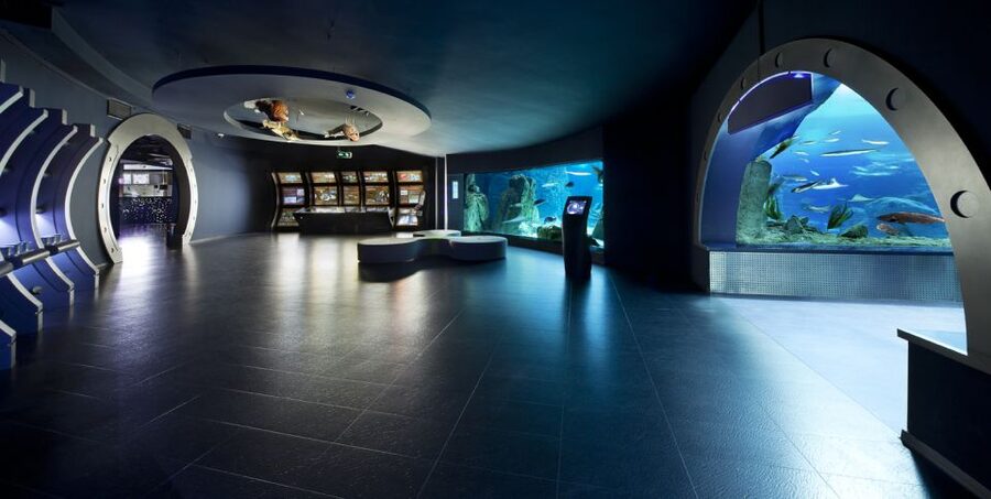 Istanbul Aquarium and Aqua Florya Shopping Mall Tour - Logistics Check: Punctual Pickup vs. One Big Caution