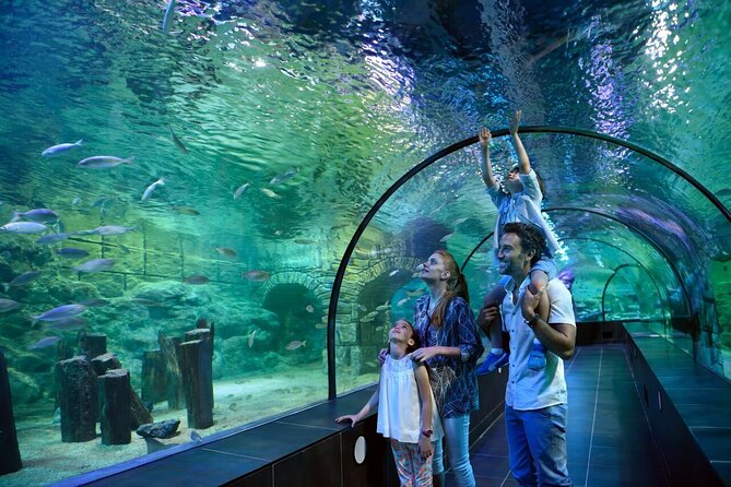 Istanbul Aquarium and Shopping Tour with Hotel Transfers - Istanbul Aquarium in Florya: What Makes the Visit Worth Your Time