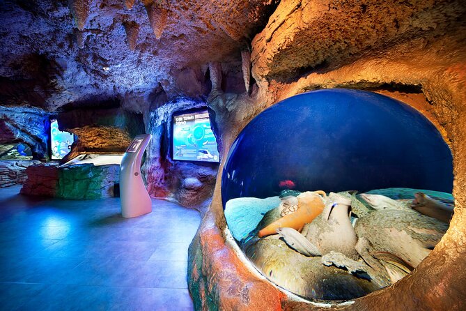 Istanbul Aquarium and Shopping Tour with Hotel Transfers - Animal Variety You’ll Actually Notice (Not Just Fish in Tanks)