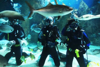 Istanbul Aquarium and Shopping Tour with Hotel Transfers - Ocean Tunnel and Themed Zones: The Route That Keeps It Interesting