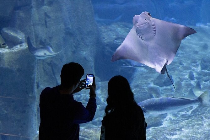 Istanbul Aquarium and Shopping Tour with Hotel Transfers - Shopping Stop: A Big Mall with Room to Browse