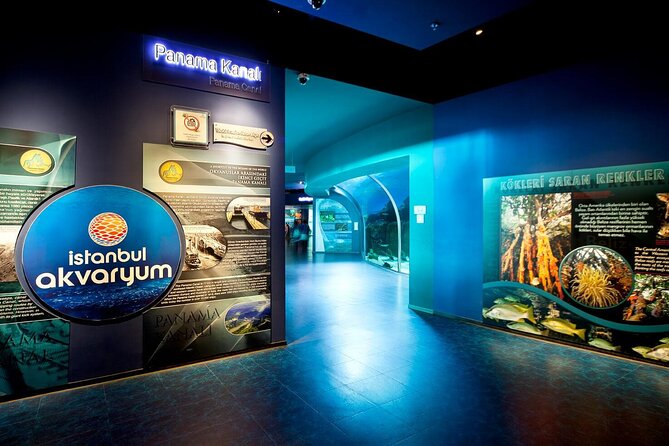 Istanbul Aquarium and Shopping Tour with Hotel Transfers - Hotel Transfers and Timing: How the Day Stays Smooth
