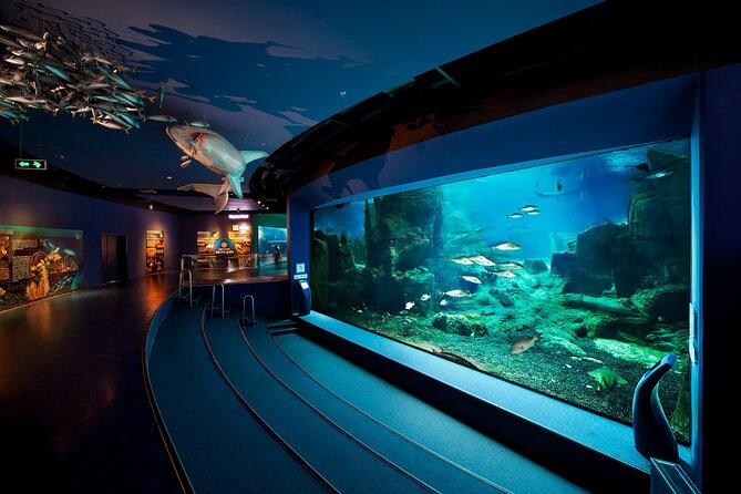 Istanbul Aquarium and Shopping Tour with Hotel Transfers - Price and Value: Is $53.21 a Fair Deal?