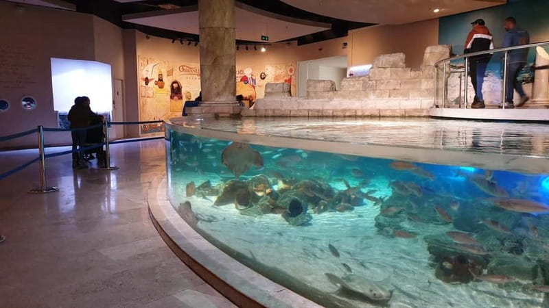 Istanbul: Aquarium Ticket and Round Trip Shuttle from Taksim - Should You Book This Aquarium Ticket and Shuttle From Taksim?