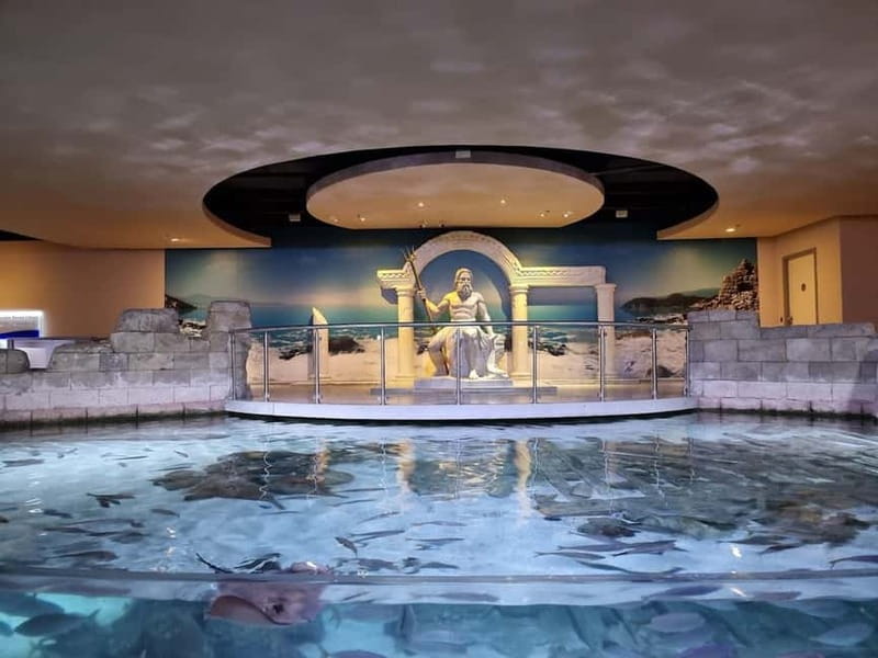 Istanbul: Aquarium Ticket and Round Trip Shuttle from Taksim - Black Sea to the Pacific: How the Themed Zones Feel on the Walk