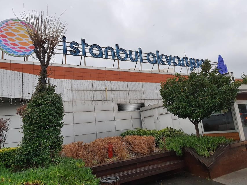 Istanbul: Aquarium Ticket and Round Trip Shuttle from Taksim - What You’ll See: Sharks, Penguins, Piranhas, and More