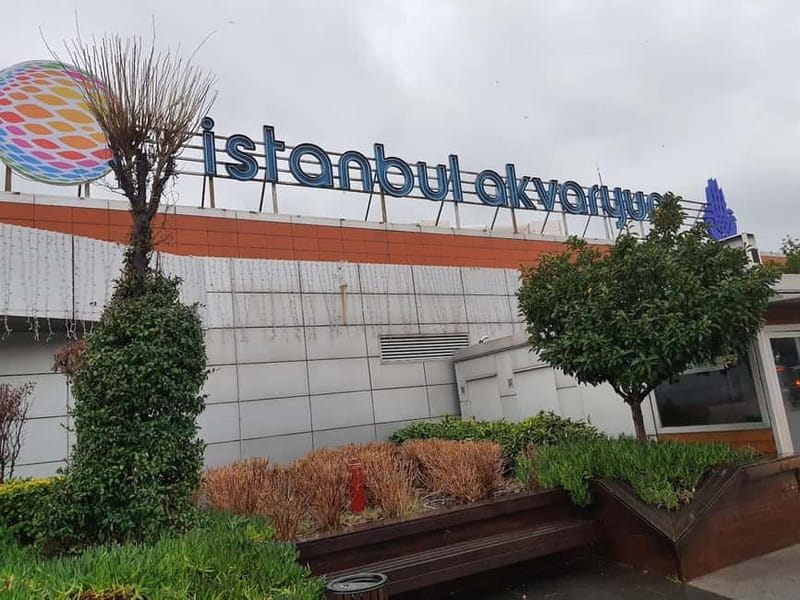 Istanbul: Aquarium Ticket and Round Trip Shuttle from Taksim - How Much Time You’ll Have (and What to Do With Leftover Minutes)