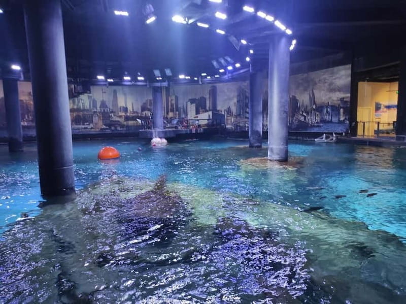 Istanbul: Aquarium Ticket and Round Trip Shuttle from Taksim - Who This Suits Best (And Who Might Want Another Option)