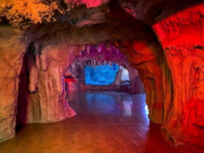 Istanbul: Aquarium Ticket with Shuttle Bus from Sultanahmet - Shuttle from Sultanahmet Square: The Part That Can Make or Break Your Timing