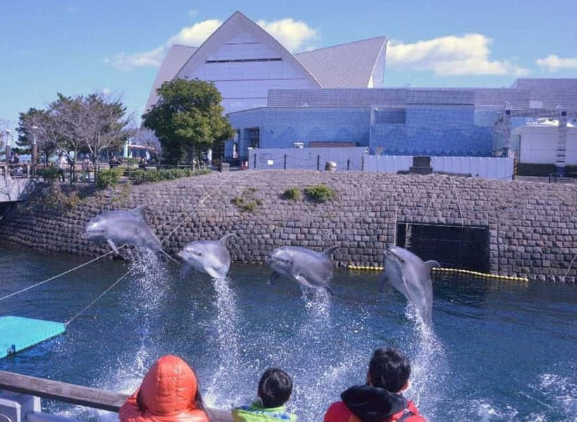 Kagoshima Aquarium Admission Ticket - Touch pools: the fun hands-on area with real limits