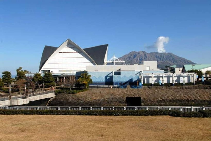 Kagoshima Aquarium Admission Ticket - Ticket value: is $13 worth it for a one-day visit?