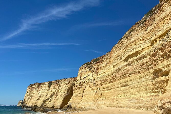 Kayak Tours with Amazing Caves, sea life and Marine Biologist . - Kayak Algarve Caves With A Marine Biologist In Ferragudo