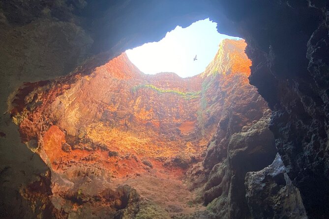 Kayak Tours with Amazing Caves, sea life and Marine Biologist . - Why The Max 15 Travelers Makes This Tour Feel Personal