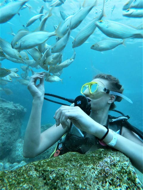 Kemer: Scuba Diving Experience in Aquarium and Kiris Bays - Session one around 5 meters in Aquarium Bay