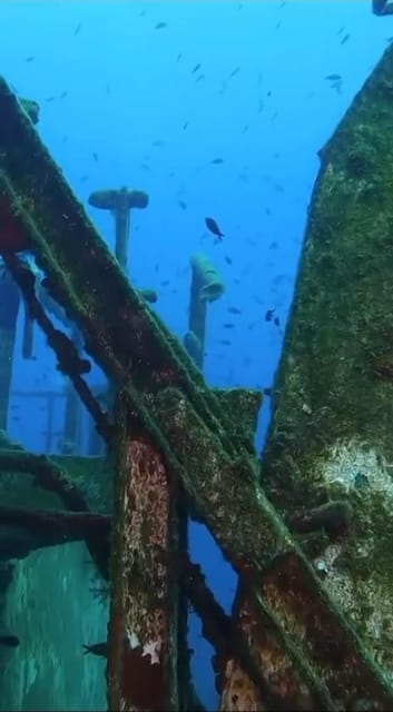 Kemer: Scuba Diving Experience in Aquarium and Kiris Bays - Session two at 10–15 meters, plus the Poseidon possibility