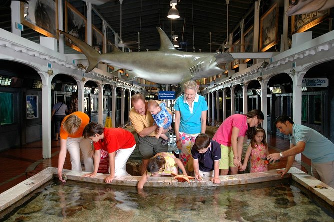 Key West Aquarium Admission - Why this aquarium makes sense in Old Town Key West