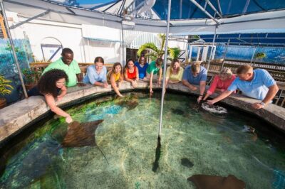 Key West Aquarium Admission - How long to plan: 1–3 hours, with built-in show times