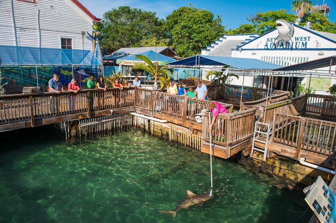 Key West Aquarium Admission - Atlantic Shores: mangroves, a 50,000-gallon tank, and interactive feeding