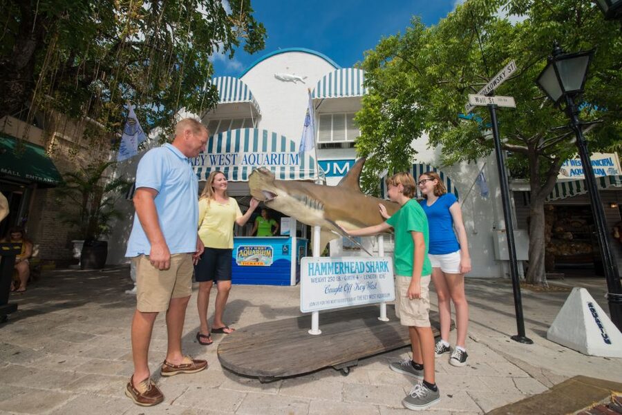 Key West Aquarium Tickets - Why the Key West Aquarium ticket is a solid use of your day