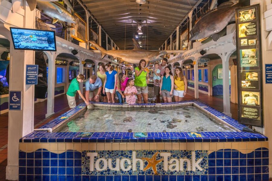 Key West Aquarium Tickets - Atlantic Shores mangroves: what a 50,000-gallon habitat teaches you